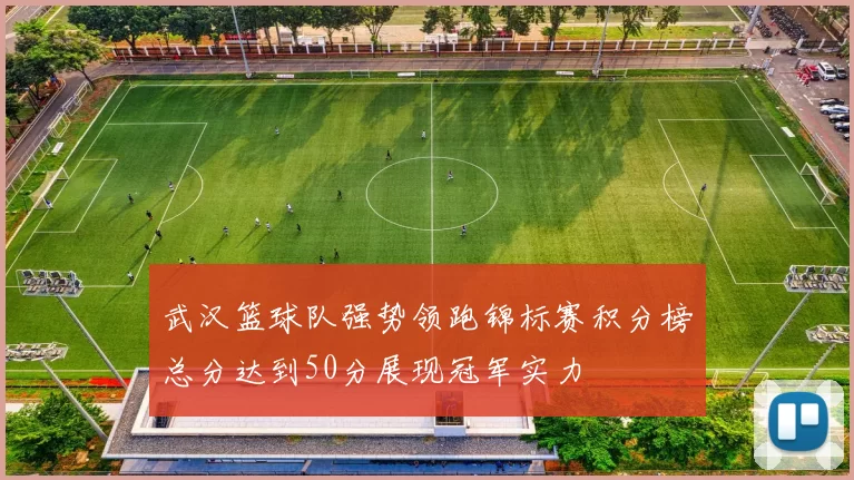 武汉篮球队强势领跑锦标赛积分榜总分达到50分展现冠军实力