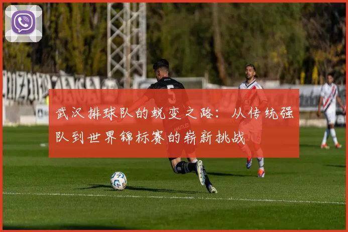 武汉排球队的蜕变之路：从传统强队到世界锦标赛的崭新挑战