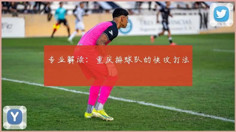 专业解读：重庆排球队的快攻打法